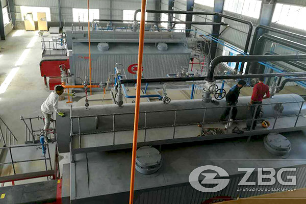 Two Sets of 20 Tons Gas Boiler in Iran