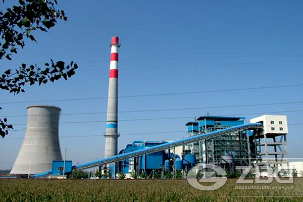 Biomass Fuel for Power Plant