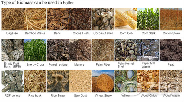 What is Biomass Conversion