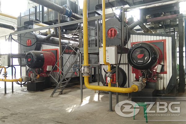 Two Sets of 35 Tons Gas Fired Power Plant Boiler