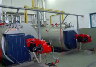 Application of ventilator in industrial boiler